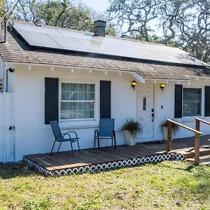Cozy Near Busch Gardens Adventure Island And Usf Holiday home